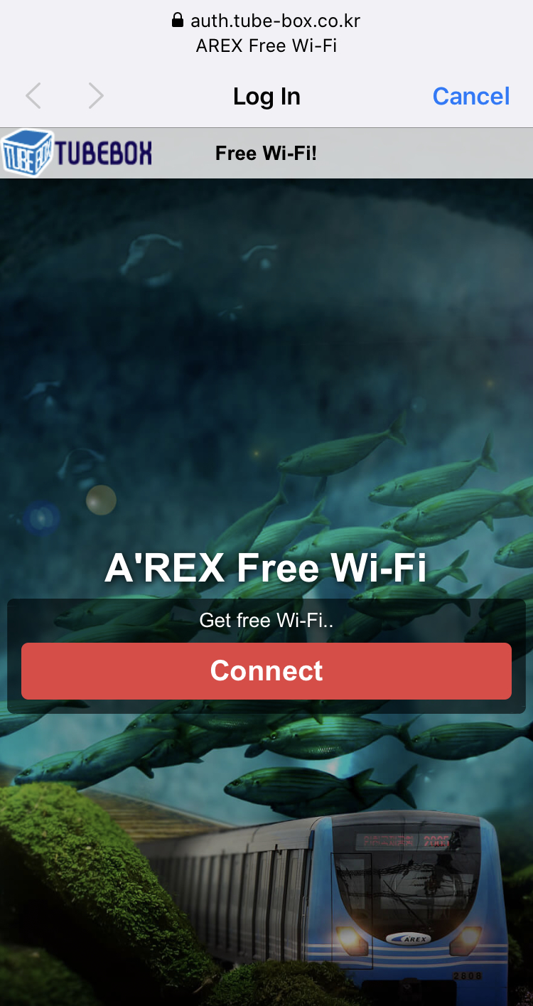 AREX Wi-Fi