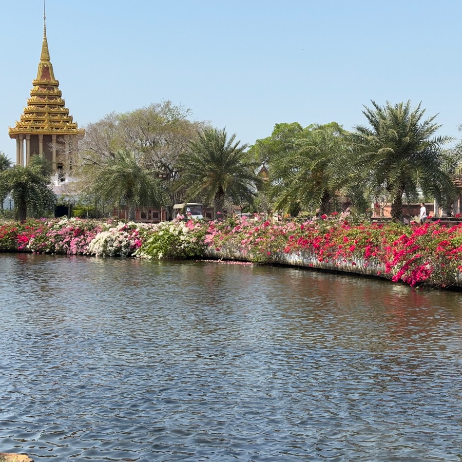 美しい風景