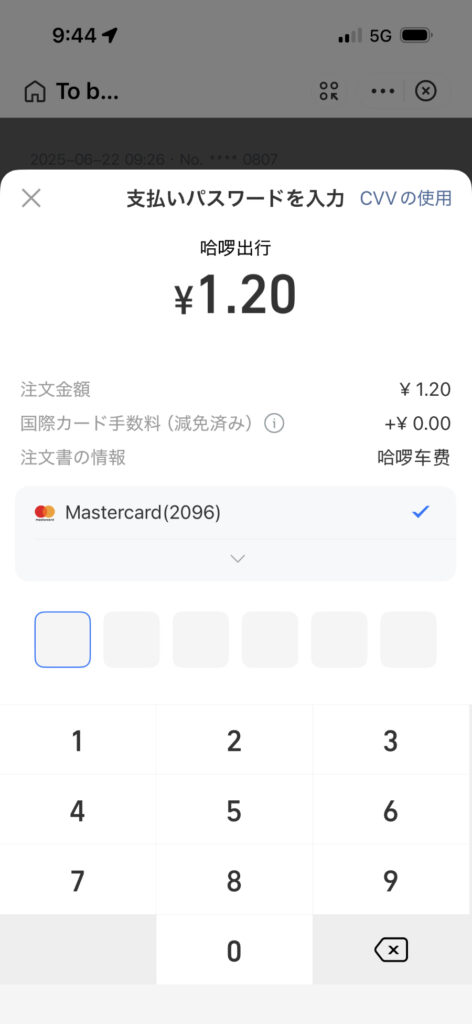 支払いパスコード入力