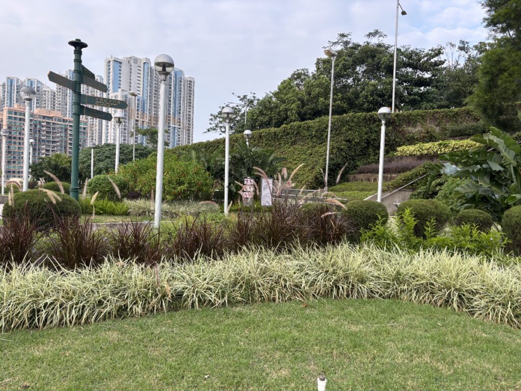 タイパ・グランデ